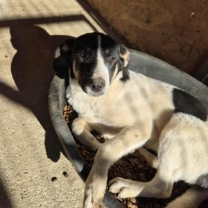 575098606 1368231184790012 8978592763945368351 n