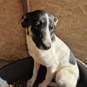 575112952 818526824216351 5867525807092294554 n