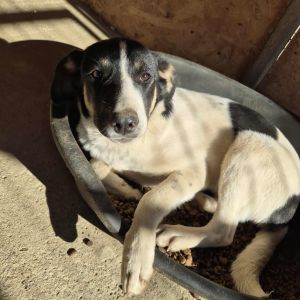 575195022 2574073142955055 2657461096077158061 n