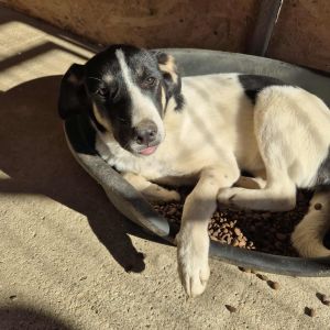 575241545 842797688697033 1001397587542970447 n