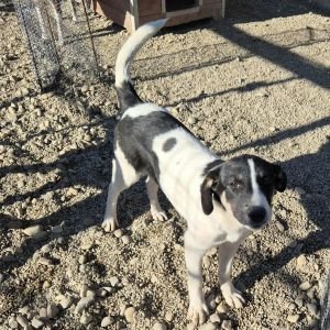 575329436 1475428376877111 6650227840708291310 n