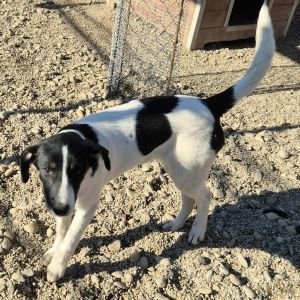 575634675 1342222287688073 7443064597789085045 n