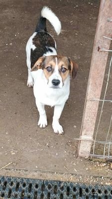 575899804 1348576163586639 1849874385505901817 n