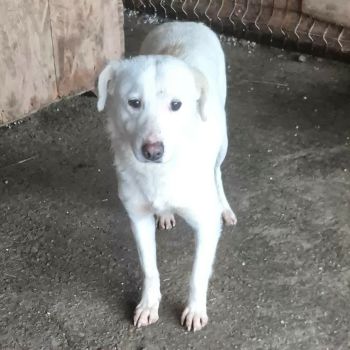 610835033 3356538921170729 3403281307442631517 n