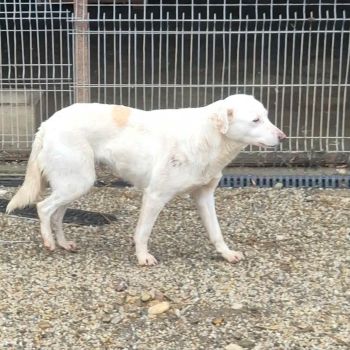 625389457 1270293285148424 6175318810023866466 n