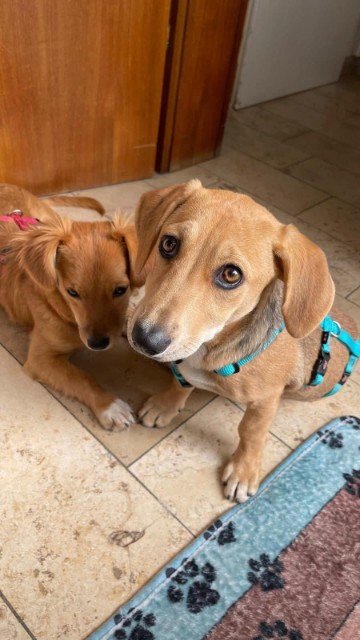 Fb img 1756492202404 copy 360x640