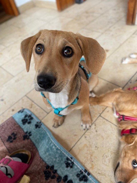 Fb img 1756492209500 copy 480x640