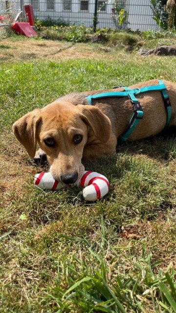 Fb img 1756492214181 copy 360x640