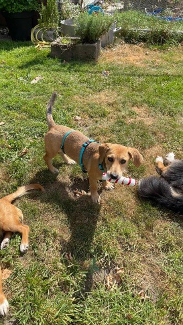 Fb img 1756492217878 copy 360x640