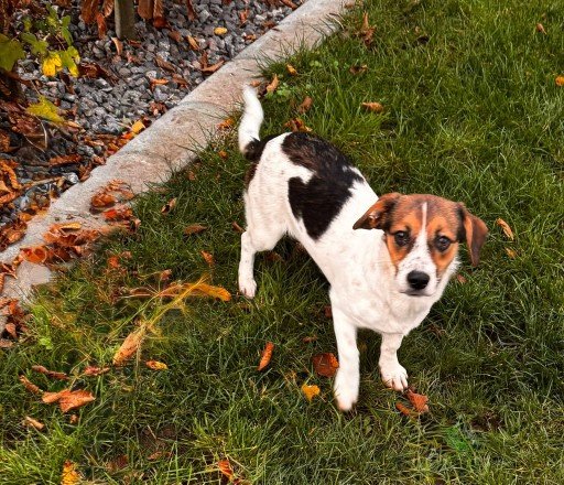 FB IMG 1763328035534 copy 512x440