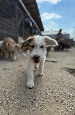 Whatsapp bild 2025 08 04 um 07.46.56 0a4bcc72