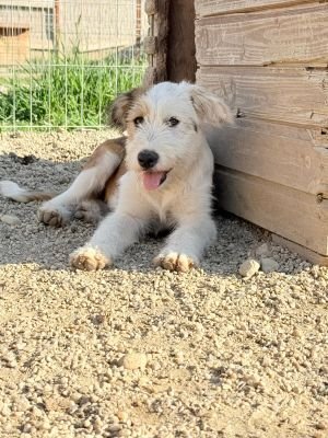 Whatsapp bild 2025 08 04 um 07.47.04 5a4c708b