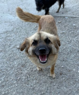 Whatsapp bild 2025 08 04 um 16.17.27 684bcea3