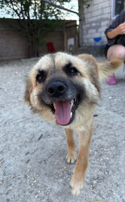 Whatsapp bild 2025 08 04 um 16.17.29 dbdef887