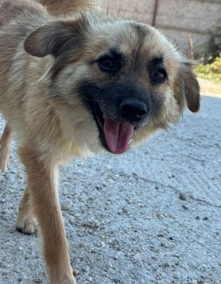 Whatsapp bild 2025 08 04 um 16.20.43 d7f59d63