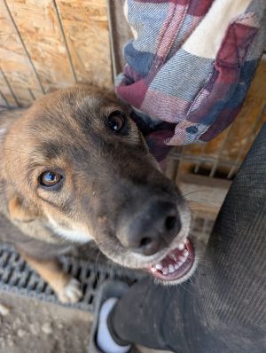 Whatsapp bild 2025 09 02 um 10.04.41 a1fa2130