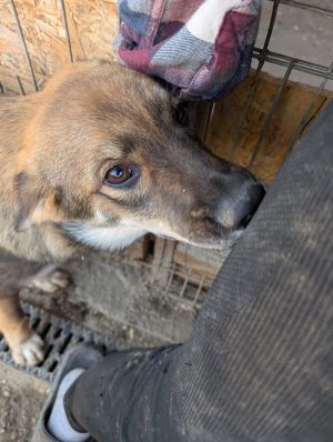 Whatsapp bild 2025 09 02 um 10.04.41 d6644ffa