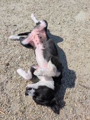 Whatsapp bild 2025 09 02 um 14.17.38 d48938ce