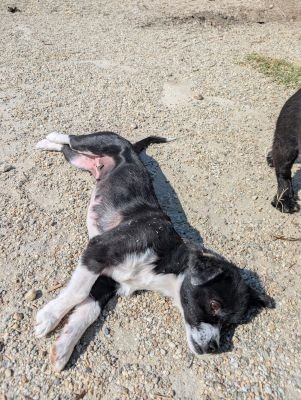 Whatsapp bild 2025 09 02 um 14.17.39 a8af6bf6