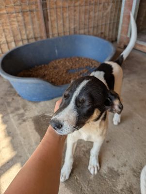 Whatsapp bild 2025 09 03 um 13.32.45 9b78ed59