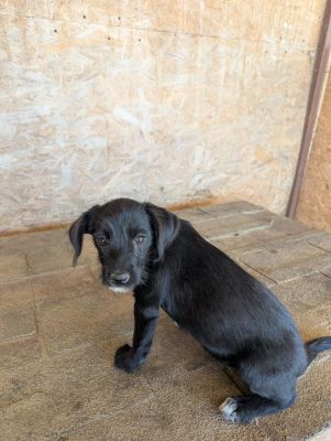 Whatsapp bild 2025 09 04 um 18.27.23 427e74f2