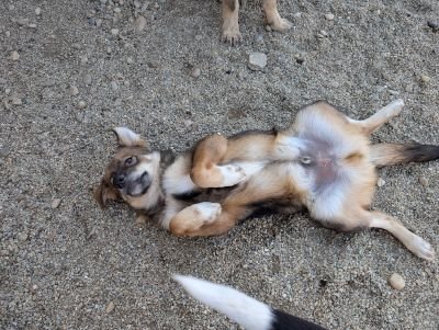 Whatsapp bild 2025 09 05 um 18.21.12 5abcd801