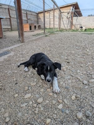 Whatsapp bild 2025 09 07 um 11.09.53 7c01d976