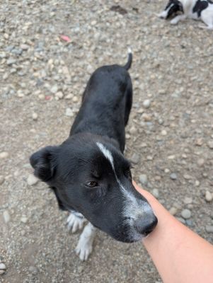 Whatsapp bild 2025 09 07 um 11.10.00 18f41c9f