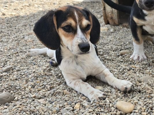 Whatsapp bild 2025 09 07 um 14.03.29 bd6e5200