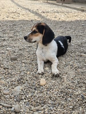 Whatsapp bild 2025 09 07 um 14.03.30 20132718