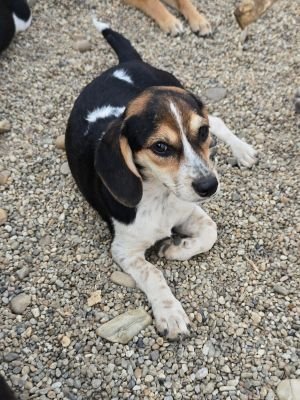 Whatsapp bild 2025 09 07 um 14.03.32 5d8ff383