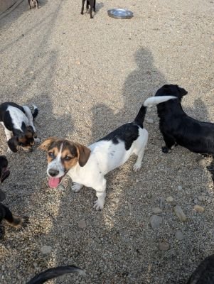 Whatsapp bild 2025 09 07 um 20.15.40 09ec05b2