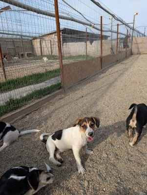 Whatsapp bild 2025 09 07 um 20.15.40 3ebc0387