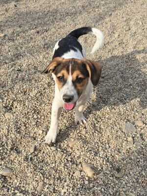 Whatsapp bild 2025 09 07 um 21.23.33 794ddc73