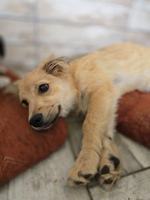 Whatsapp bild 2025 09 07 um 21.28.22 e015edb4