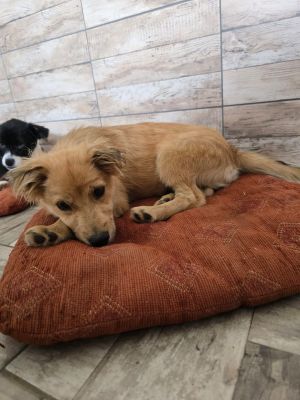 Whatsapp bild 2025 09 07 um 21.28.23 edea61b4