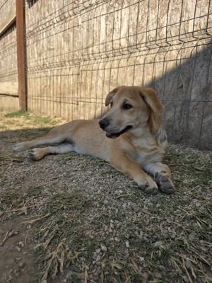 Whatsapp bild 2025 09 08 um 09.01.05 9ce499ec