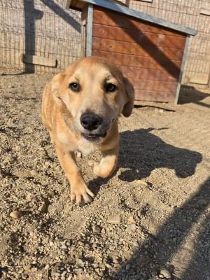 Whatsapp bild 2025 09 08 um 09.01.16 e8ed45d1