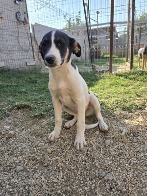 Whatsapp bild 2025 09 08 um 09.05.15 7de45f0b