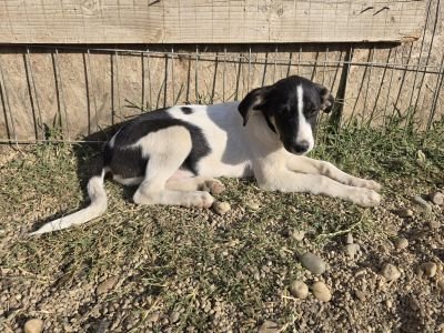 Whatsapp bild 2025 09 08 um 09.05.16 4a6faede