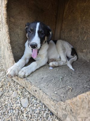 Whatsapp bild 2025 09 08 um 09.05.18 65cb78d7