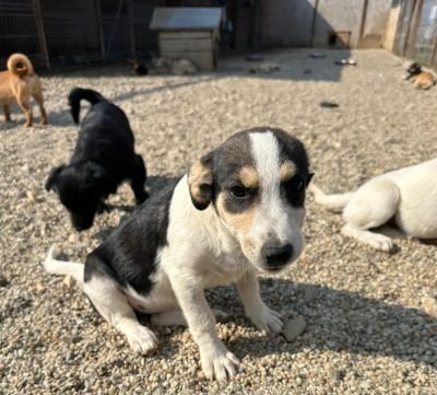 Whatsapp bild 2025 09 09 um 11.14.56 7cb3480a