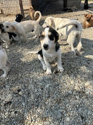 Whatsapp bild 2025 09 09 um 11.14.57 2957004c