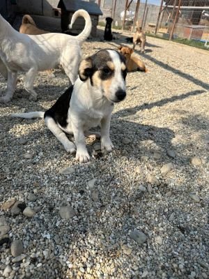 Whatsapp bild 2025 09 09 um 11.14.57 b5e30f06