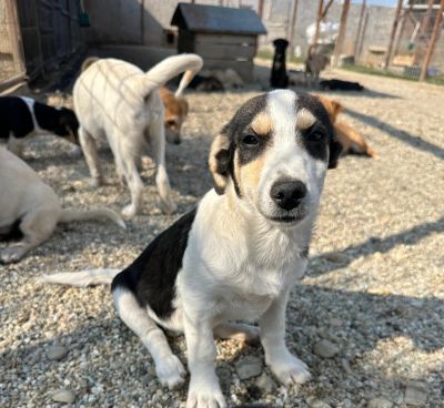 Whatsapp bild 2025 09 09 um 11.14.58 923e2ed5