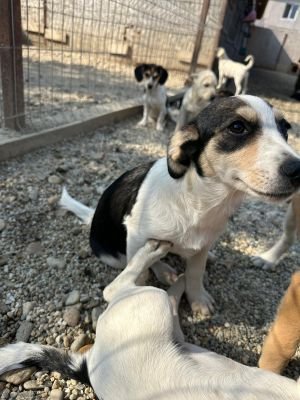 Whatsapp bild 2025 09 09 um 11.14.58 c561d5b8