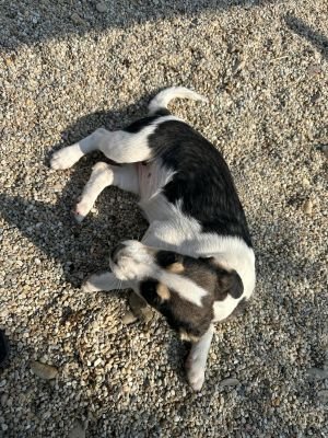 Whatsapp bild 2025 09 09 um 11.14.59 38377425