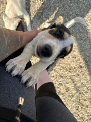 Whatsapp bild 2025 09 09 um 11.14.59 857373ea