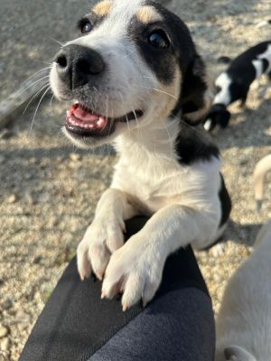 Whatsapp bild 2025 09 09 um 11.15.00 a1e7a796