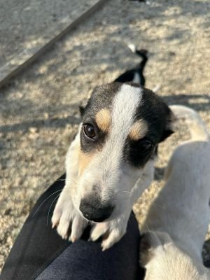 Whatsapp bild 2025 09 09 um 11.15.01 1e9d30e2